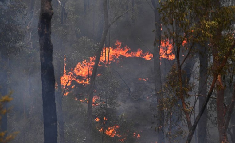 Vatrogasci u Australiji zapalili kontrolirani požar, izgorjele kuće